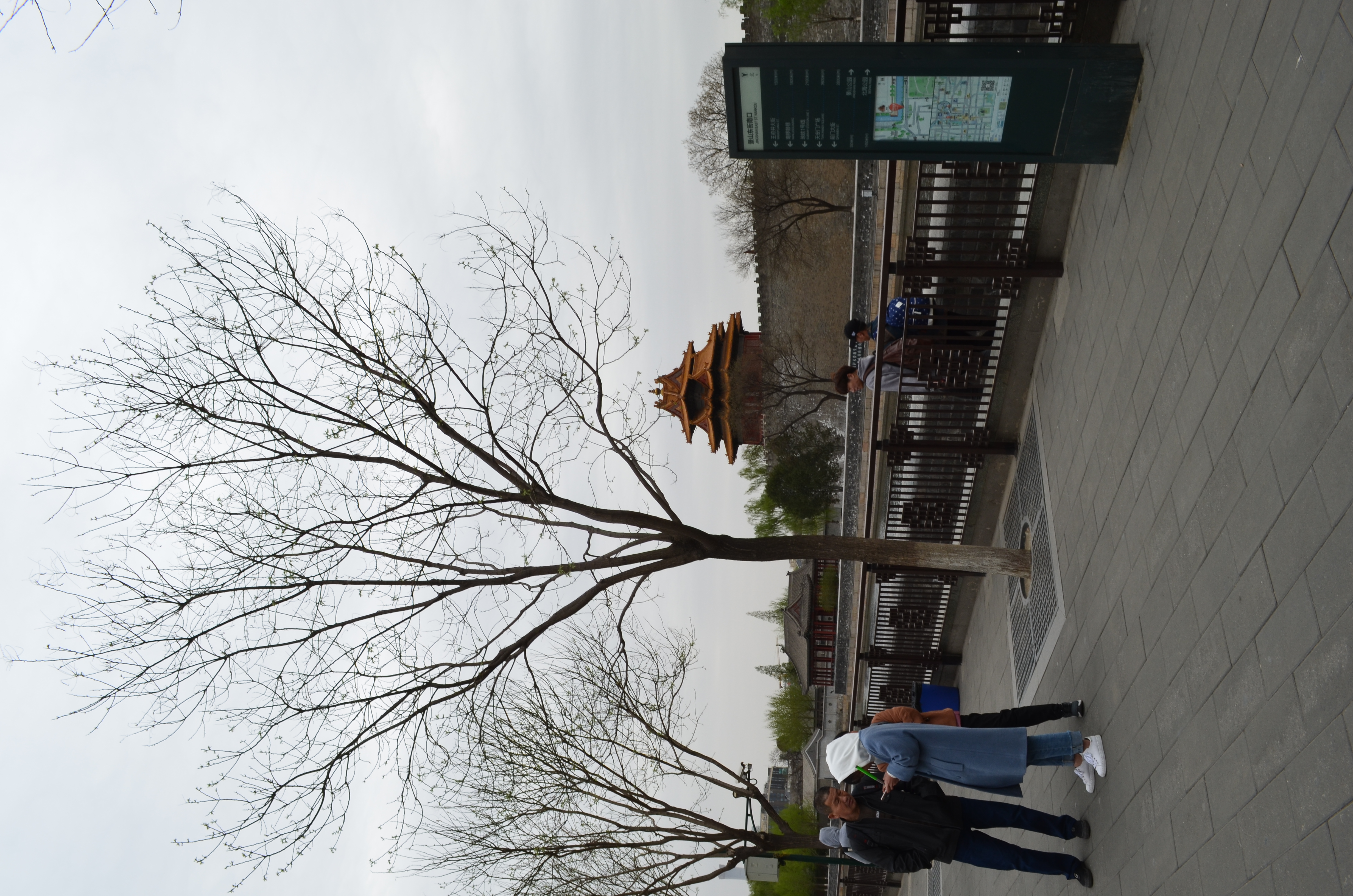 ./2018/03 - Viking China/06 - Forbidden City/DSC_11013.JPG